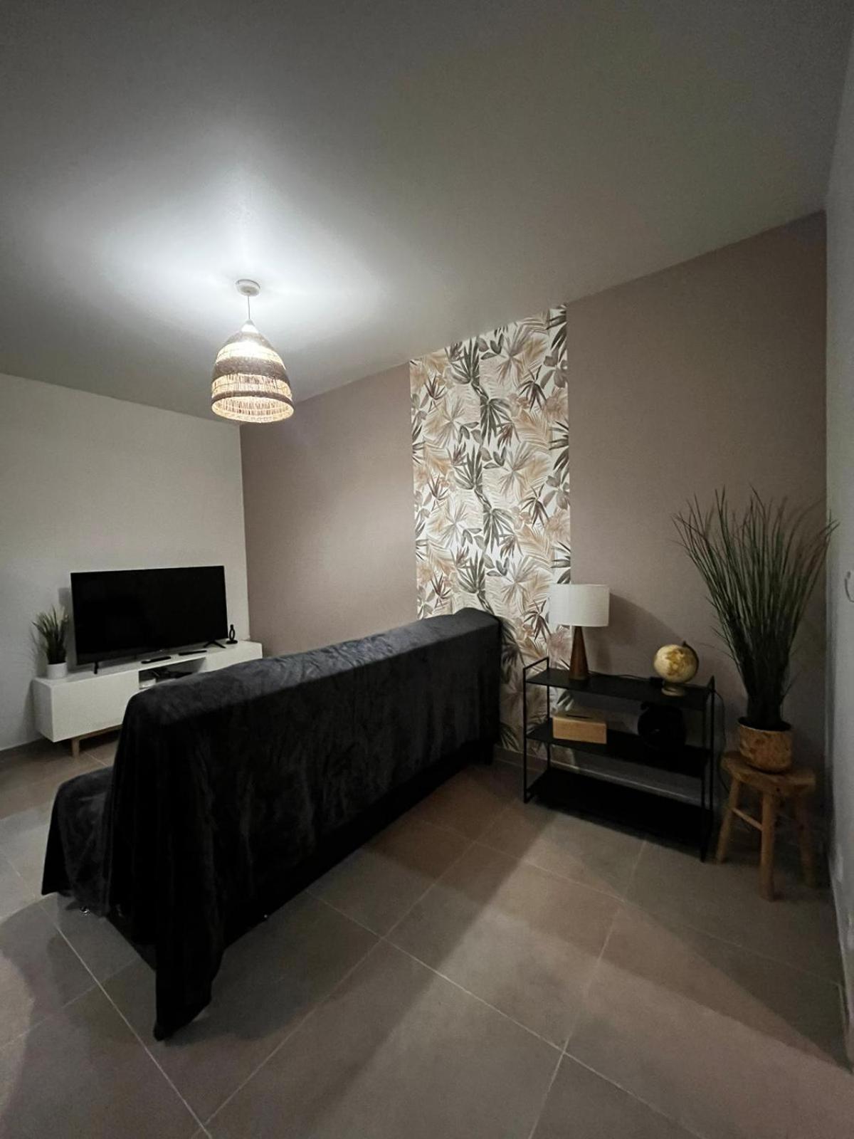 Appartement Des Carmes Nîmes Zewnętrze zdjęcie